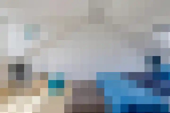 Bataviastraat 11 Tilburg thumbnail 26