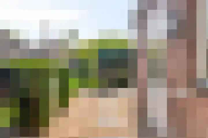 Bataviastraat 11 Tilburg thumbnail 30