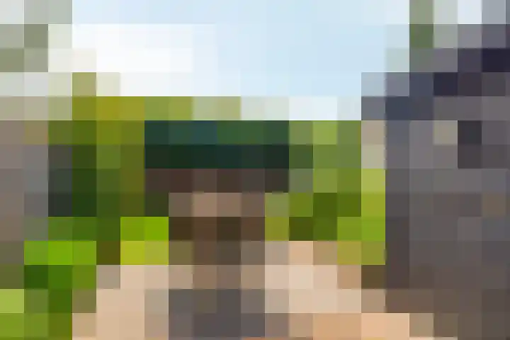 Bataviastraat 11 Tilburg thumbnail 31