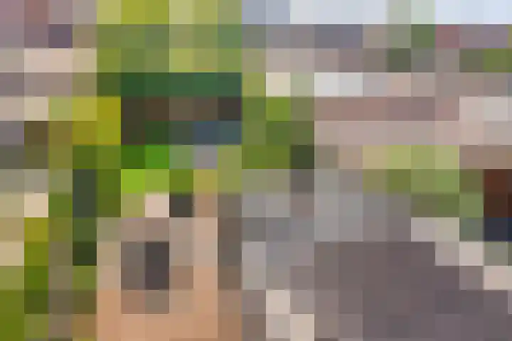 Bataviastraat 11 Tilburg thumbnail 34