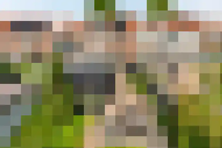 Bataviastraat 11 Tilburg thumbnail 35
