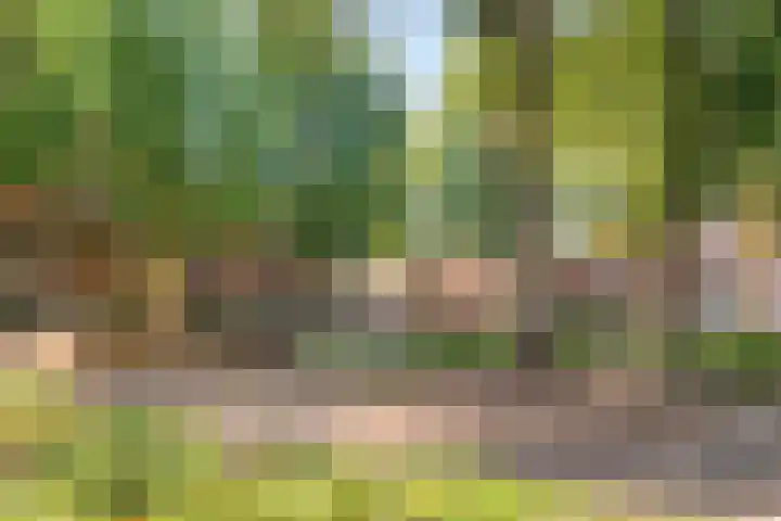 Bataviastraat 11 Tilburg thumbnail 36