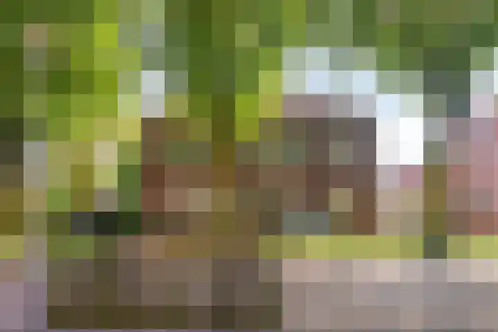 Bataviastraat 11 Tilburg thumbnail 37