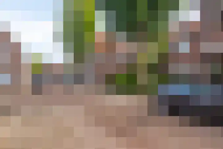 Bataviastraat 11 Tilburg thumbnail 38