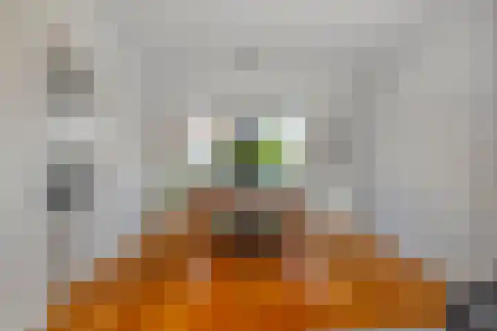 Bataviastraat 11 Tilburg thumbnail 6