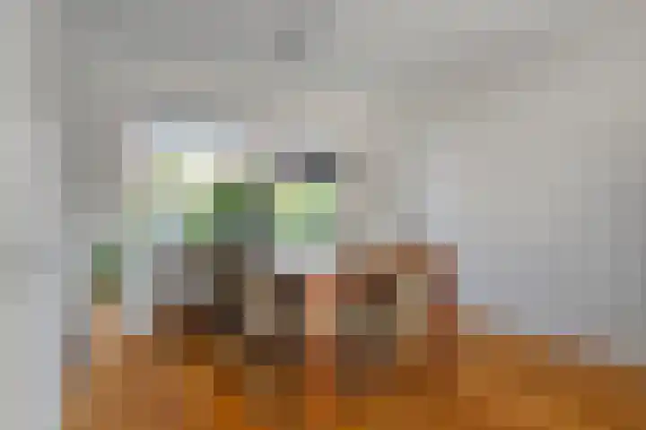 Bataviastraat 11 Tilburg thumbnail 7