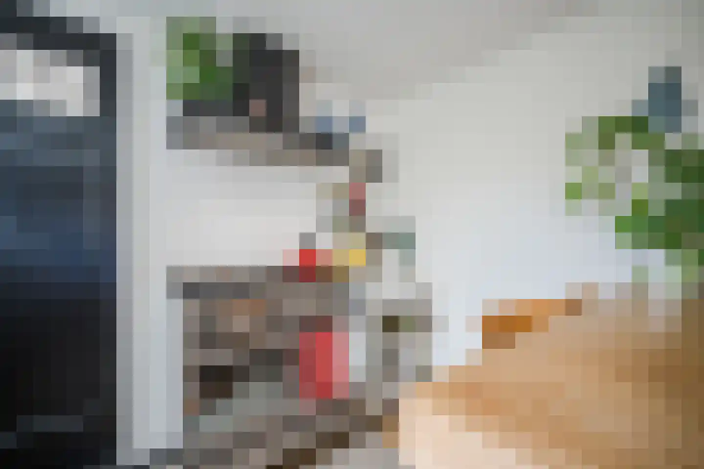 Bataviastraat 19 Tilburg thumbnail 17