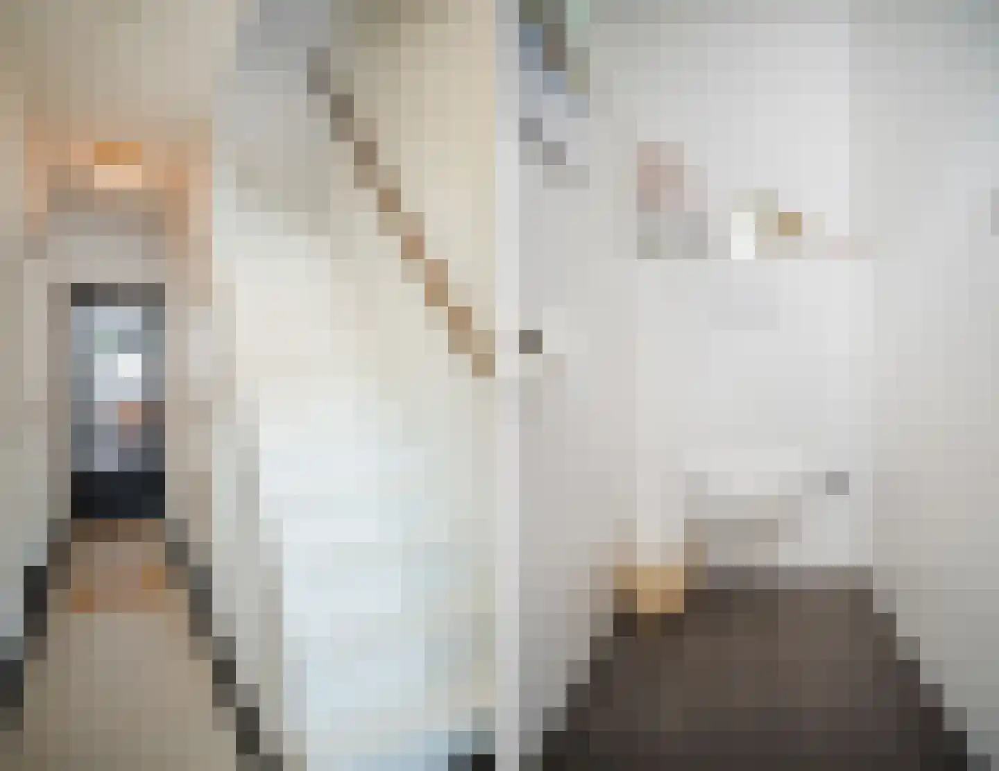 Bataviastraat 19 Tilburg thumbnail 24