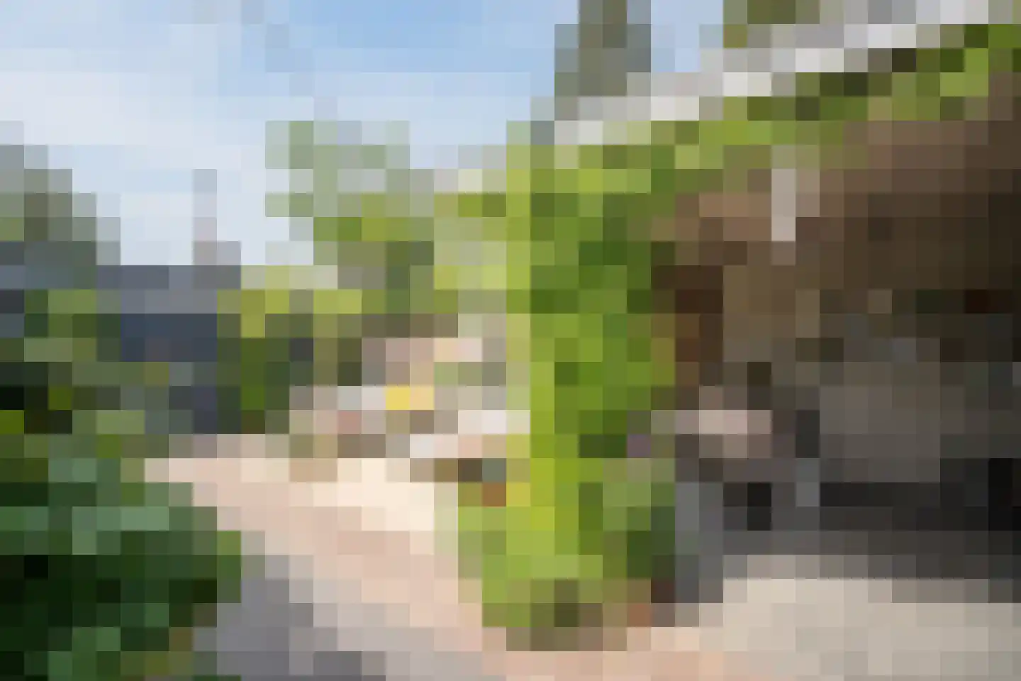 Bataviastraat 19 Tilburg thumbnail 55