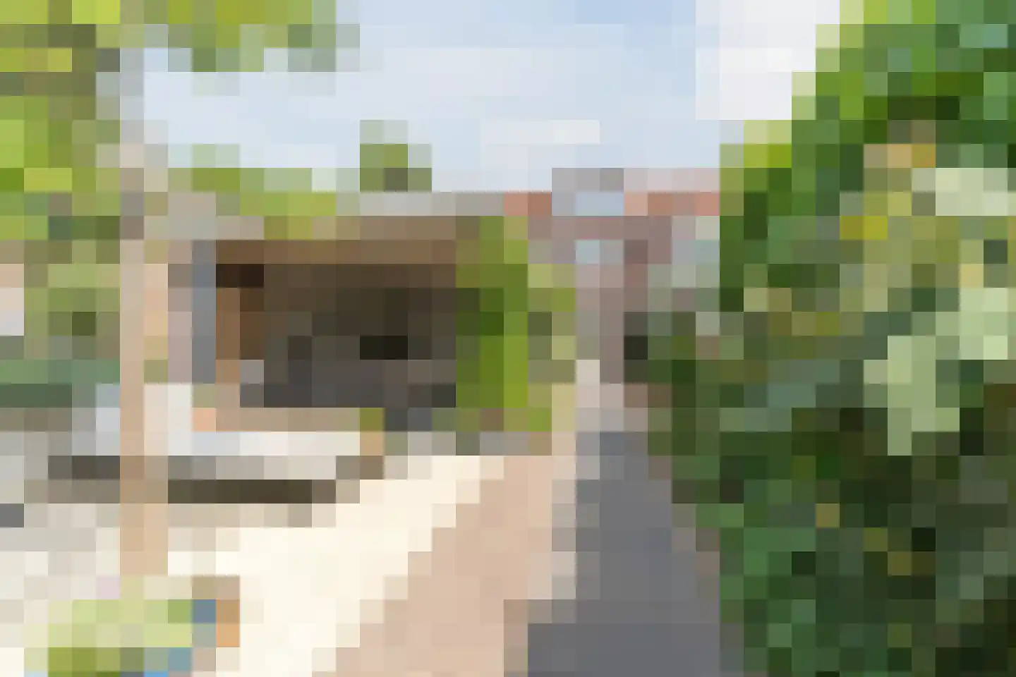 Bataviastraat 19 Tilburg thumbnail 62
