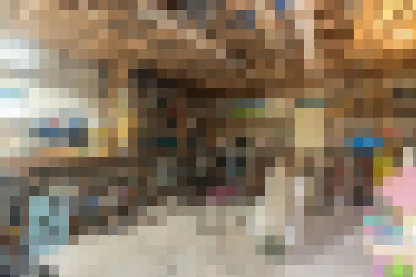 Bataviastraat 19 Tilburg thumbnail 66