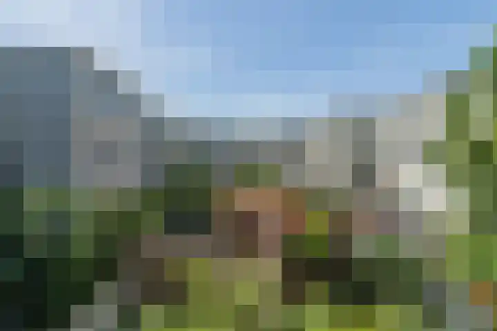 Bataviastraat 24 BS Utrecht thumbnail 12