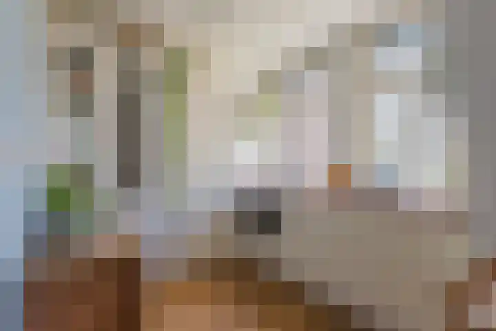 Bataviastraat 24 BS Utrecht thumbnail 17