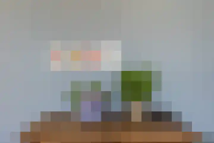 Bataviastraat 24 BS Utrecht thumbnail 19