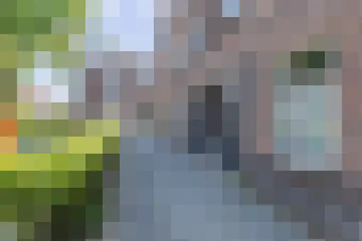 Bataviastraat 24 BS Utrecht thumbnail 37