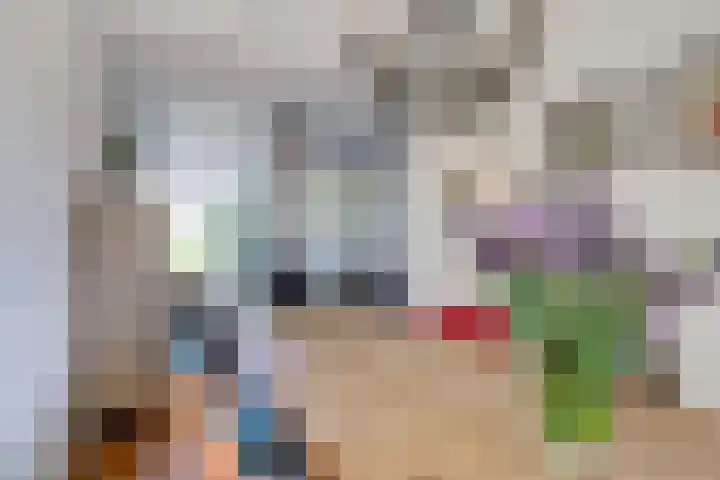 Bataviastraat 3 Utrecht thumbnail 10