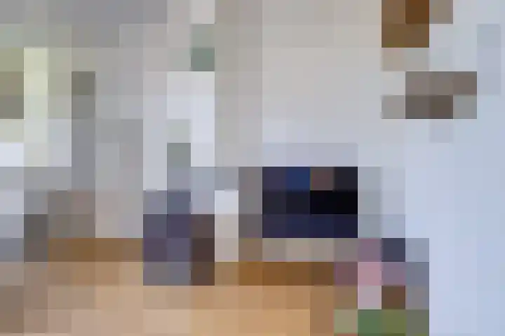 Bataviastraat 3 Utrecht thumbnail 13