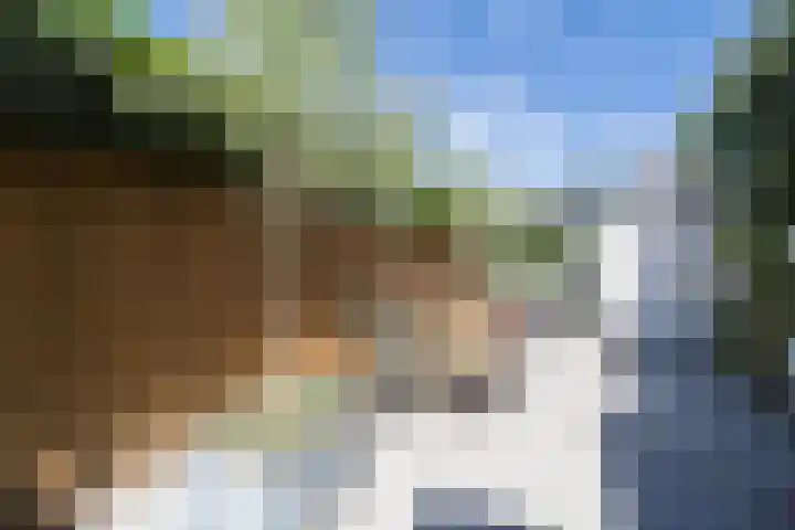 Bataviastraat 3 Utrecht thumbnail 41