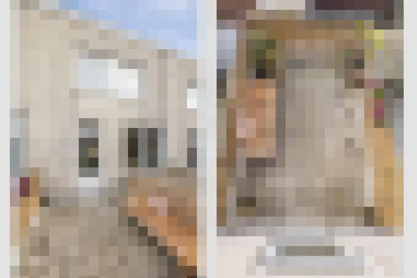 Bataviastraat 42 BS Utrecht thumbnail 32