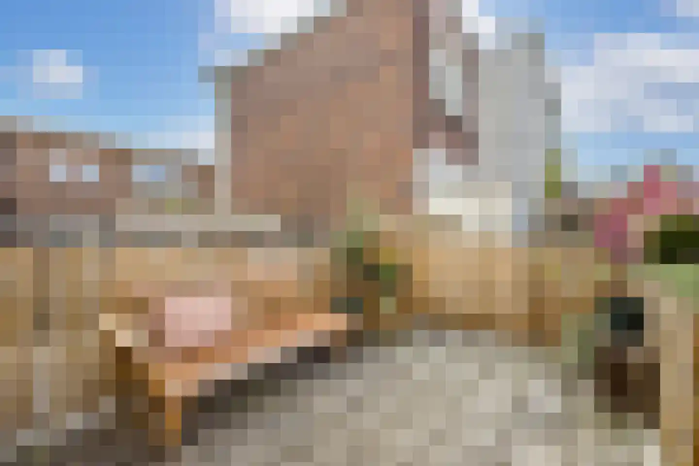 Bataviastraat 42 BS Utrecht thumbnail 34