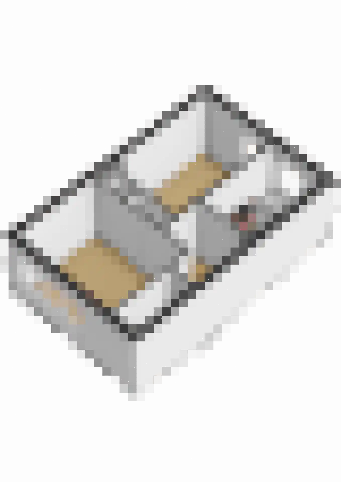 Bataviastraat 42 BS Utrecht thumbnail 39