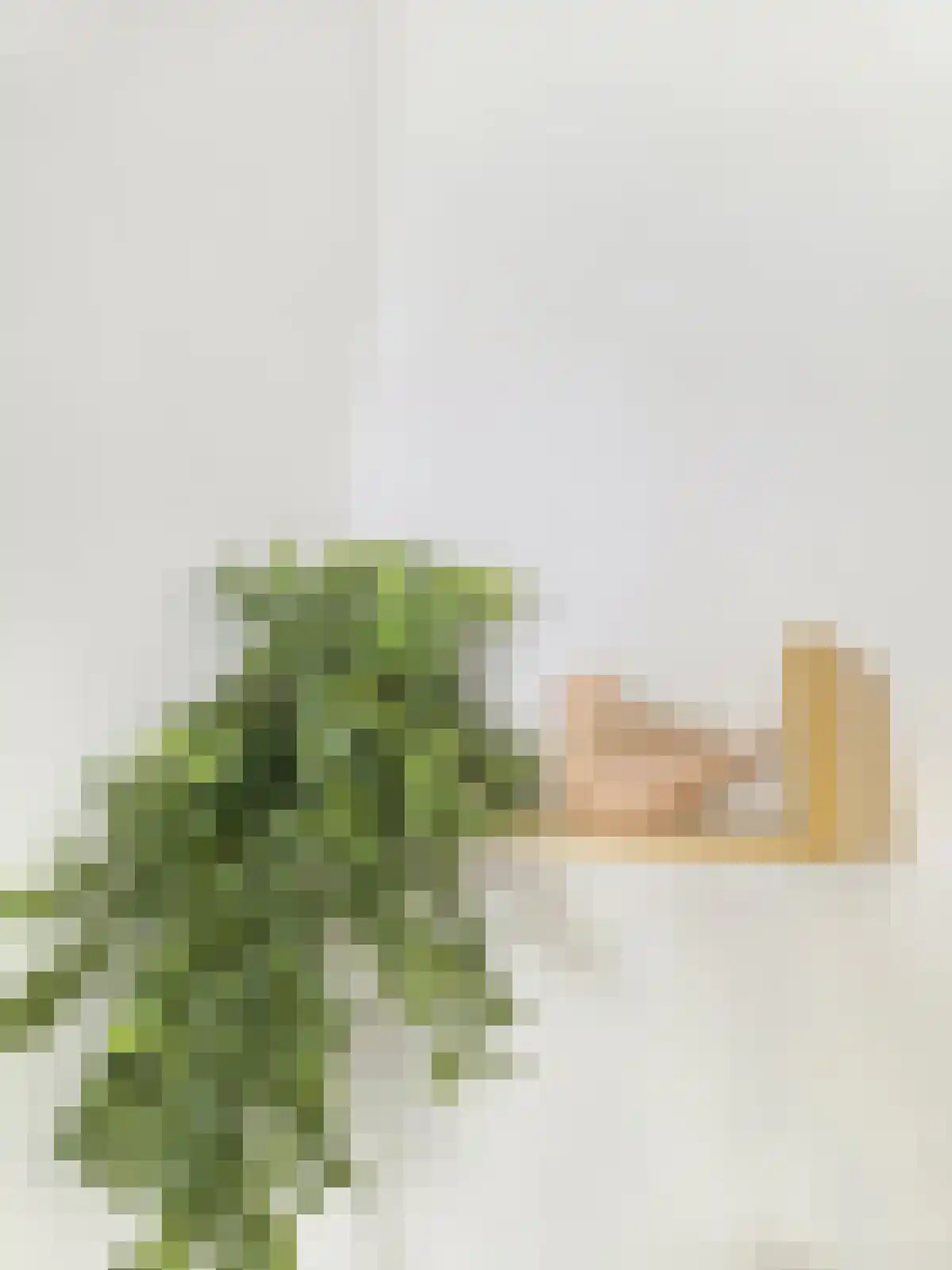 Bataviastraat 44 Utrecht thumbnail 5