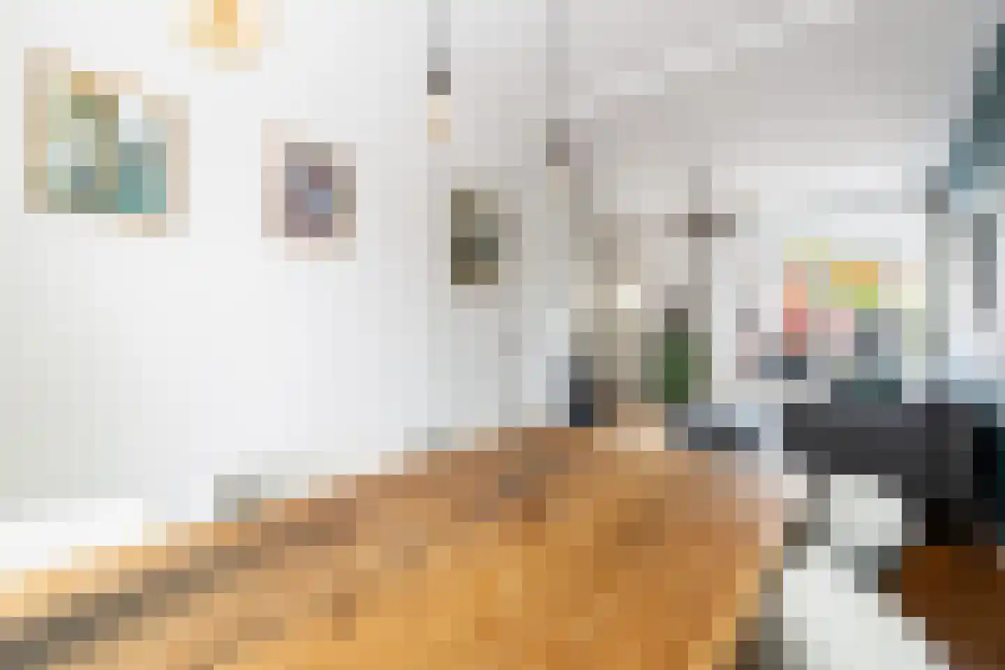 Bataviastraat 5 Utrecht thumbnail 11