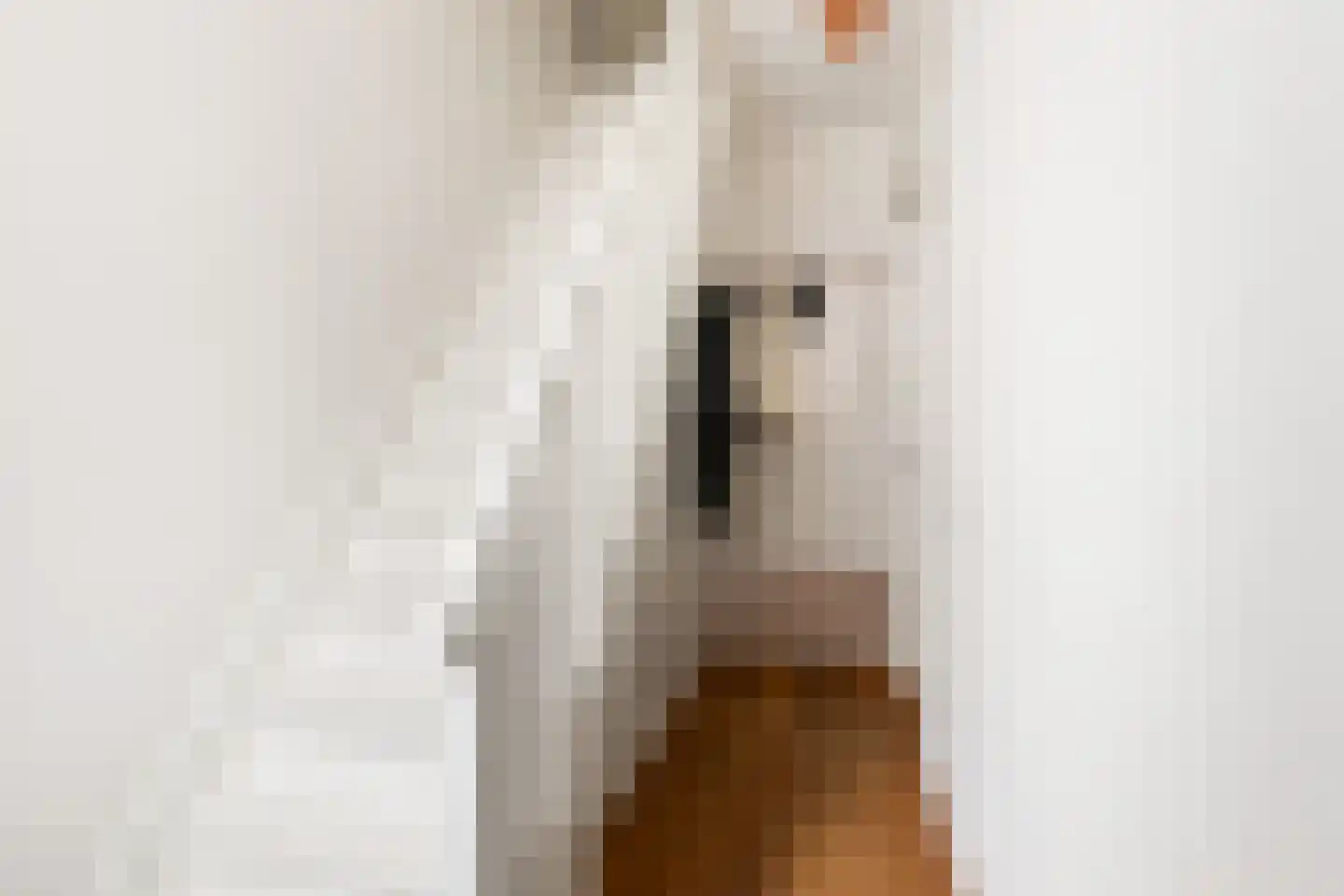 Bataviastraat 5 Utrecht thumbnail 6
