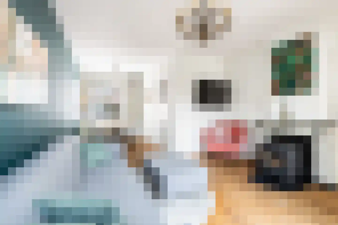 Bataviastraat 5 Utrecht thumbnail 8