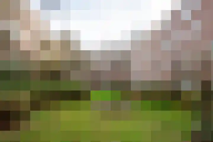 Bataviastraat 52 B Amsterdam thumbnail 33