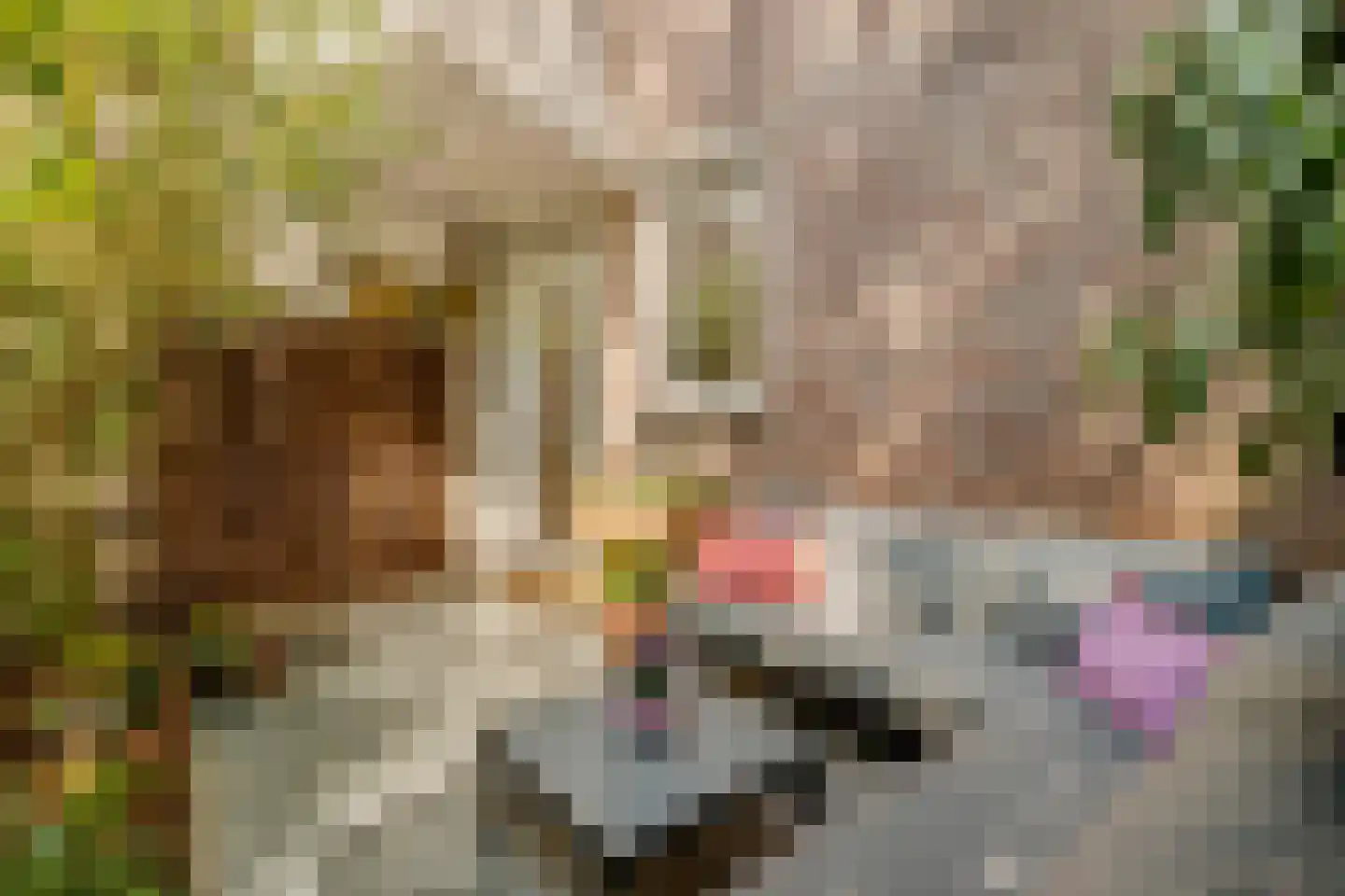 Bataviastraat 56 Amsterdam thumbnail 14