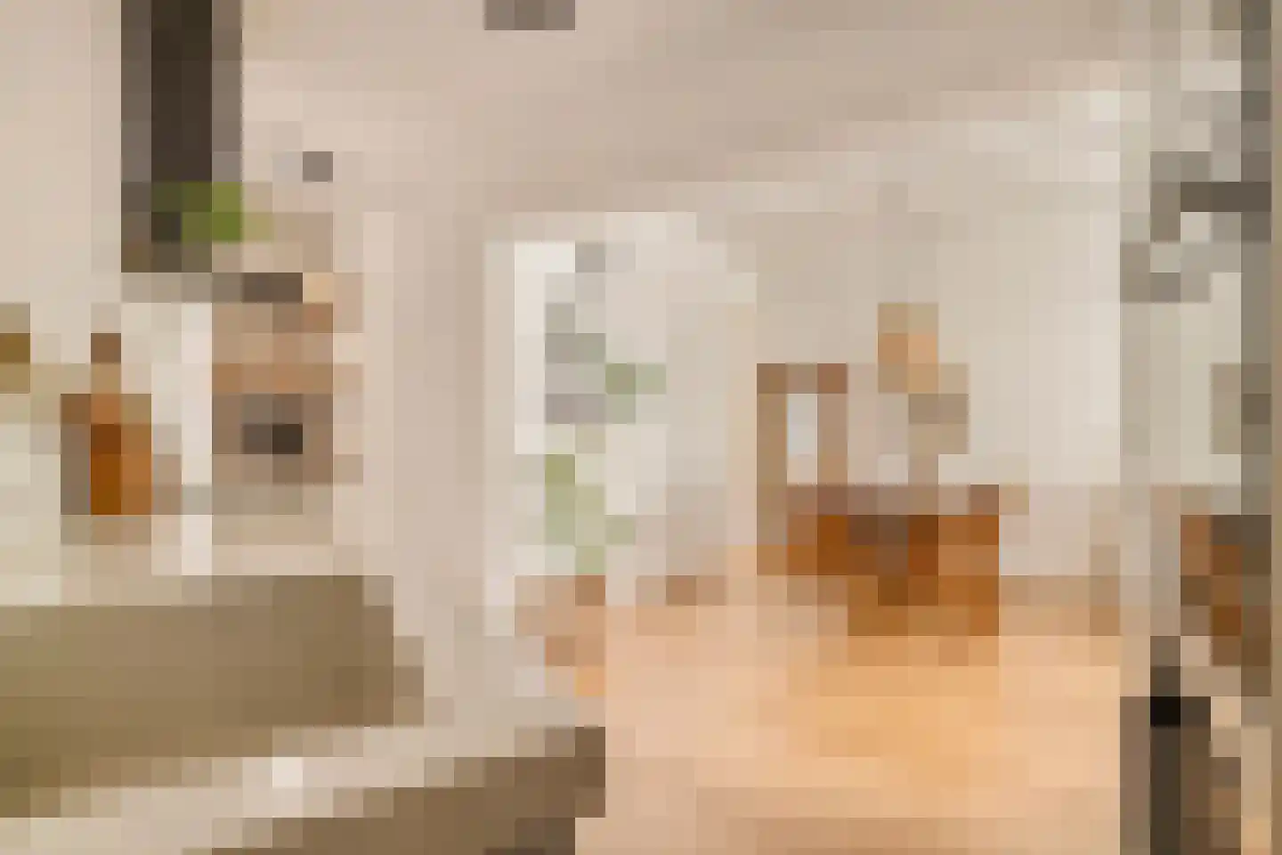 Bataviastraat 56 Amsterdam thumbnail 9