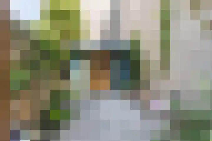 Bataviastraat 57 Utrecht thumbnail 22