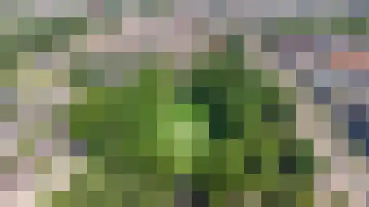 Bataviastraat 57 Utrecht thumbnail 30