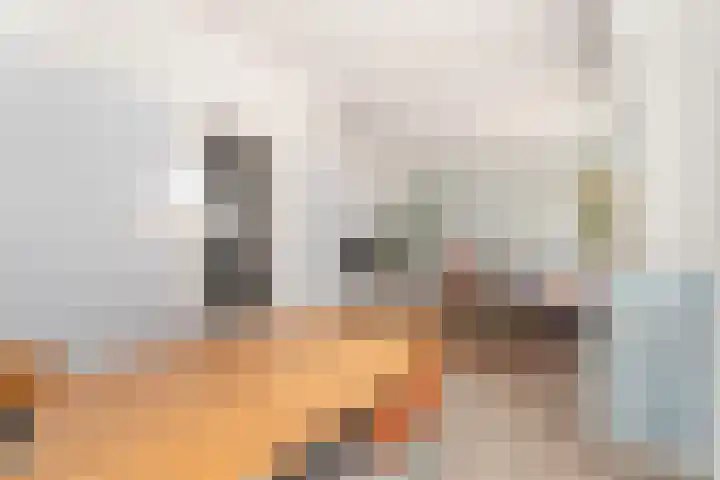 Bataviastraat 57 Utrecht thumbnail 8