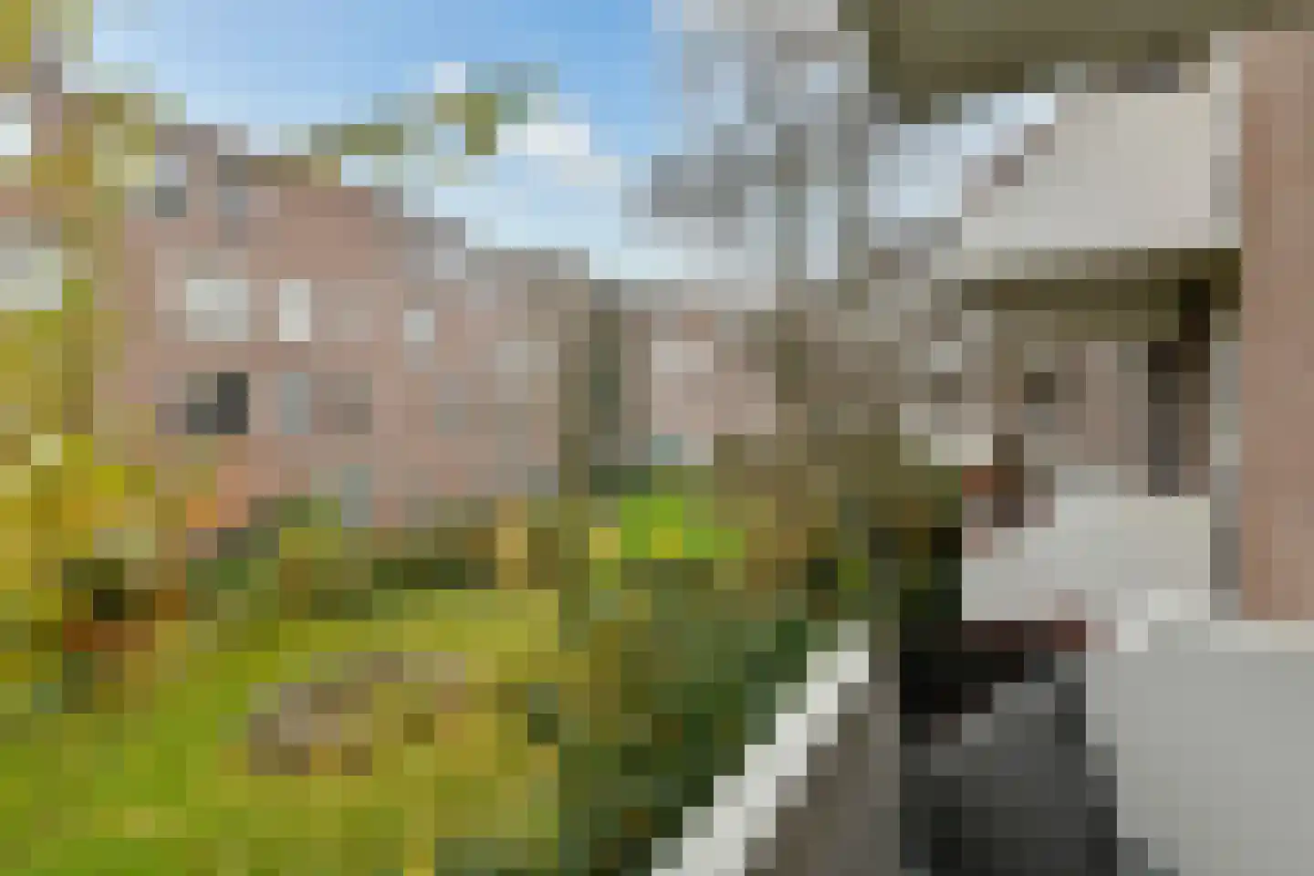 Bataviastraat 60 A Amsterdam thumbnail 15