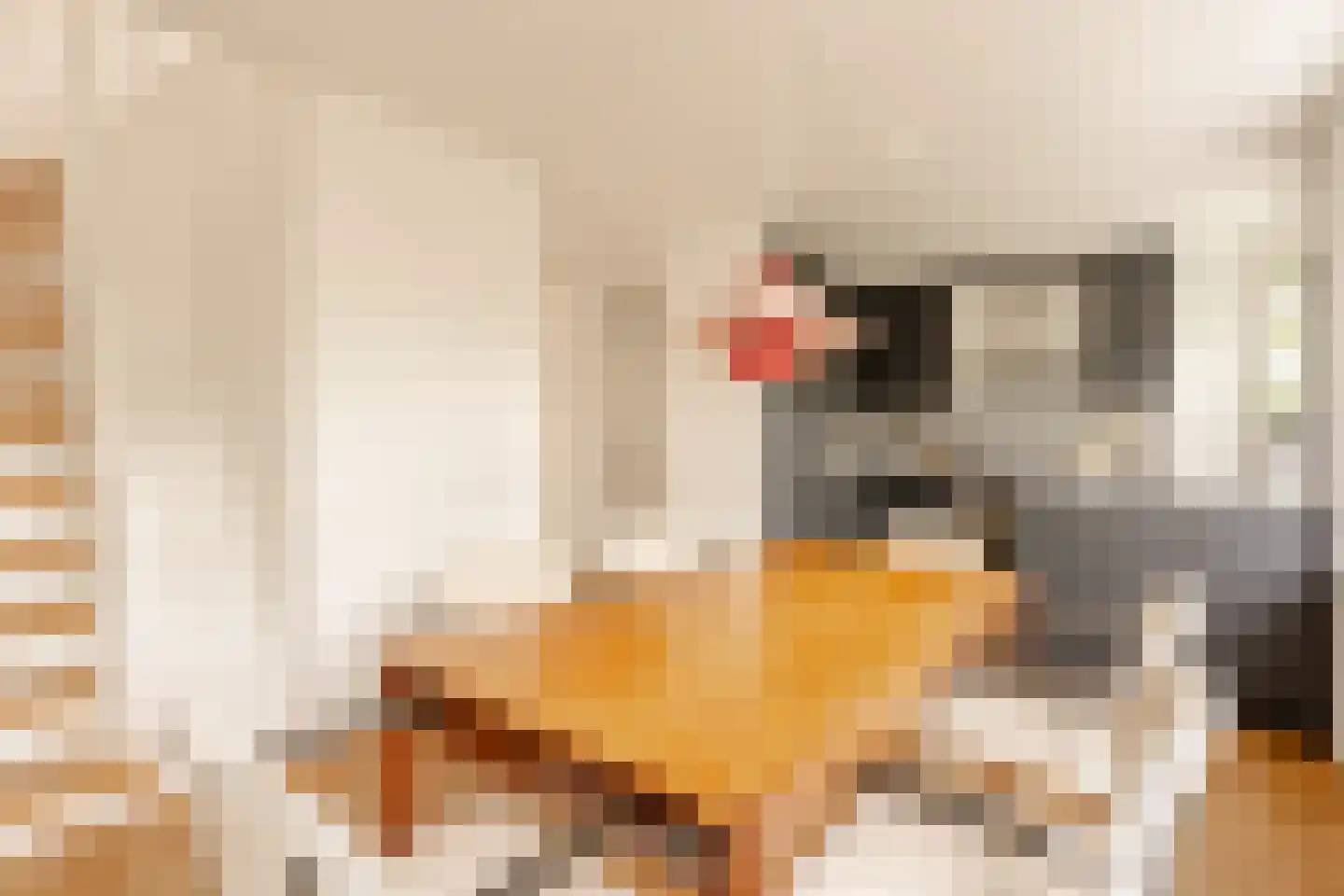 Bataviastraat 63 D Amsterdam thumbnail 15