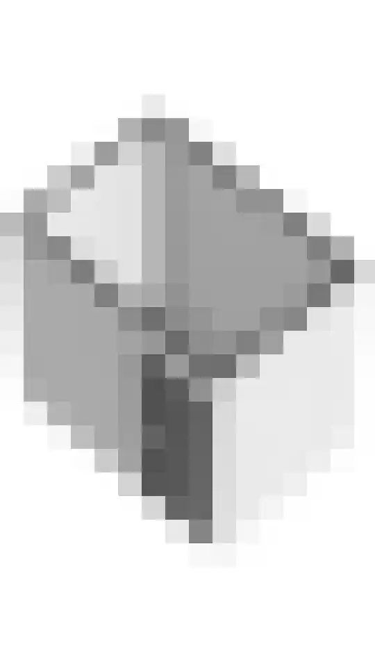 Bataviastraat 68 B Amsterdam thumbnail 23