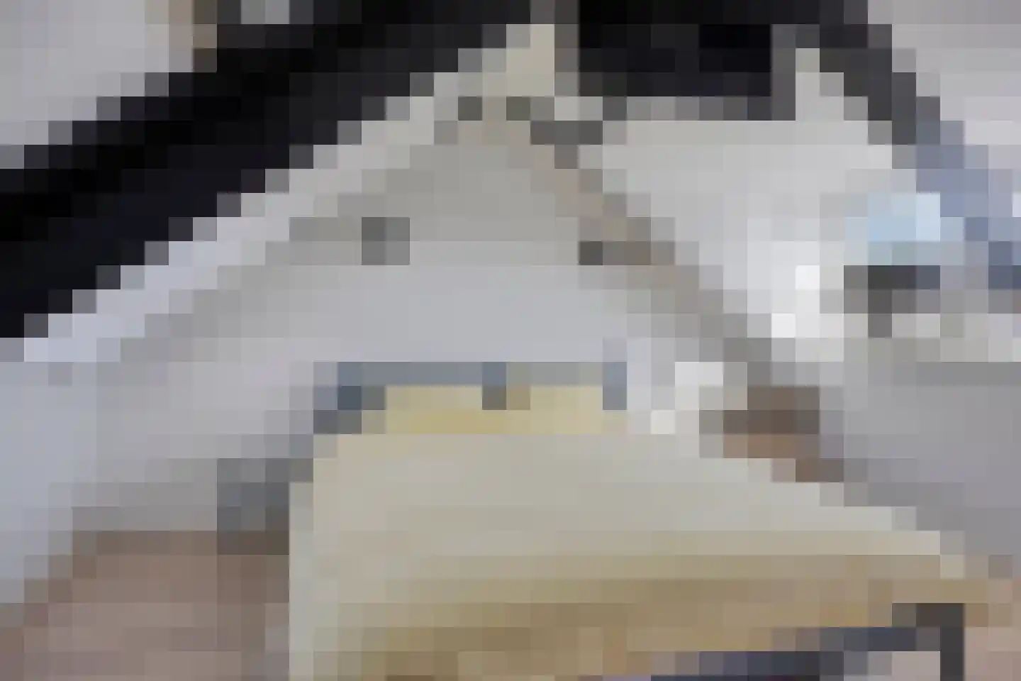 Bataviastraat 68 Tilburg thumbnail 19
