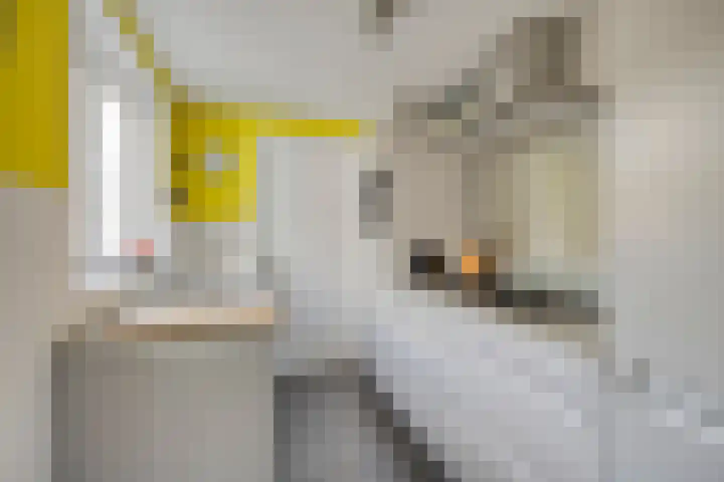 Bataviastraat 68 Tilburg thumbnail 7