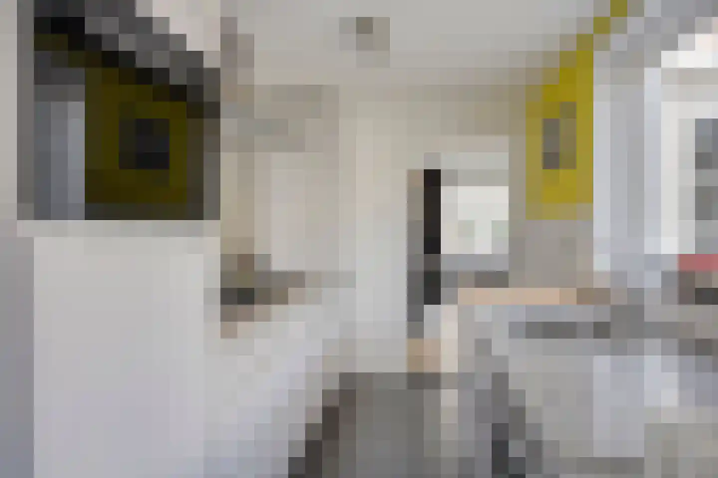 Bataviastraat 68 Tilburg thumbnail 8