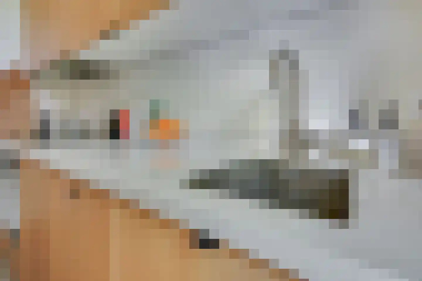 Bataviastraat 69 Utrecht thumbnail 28
