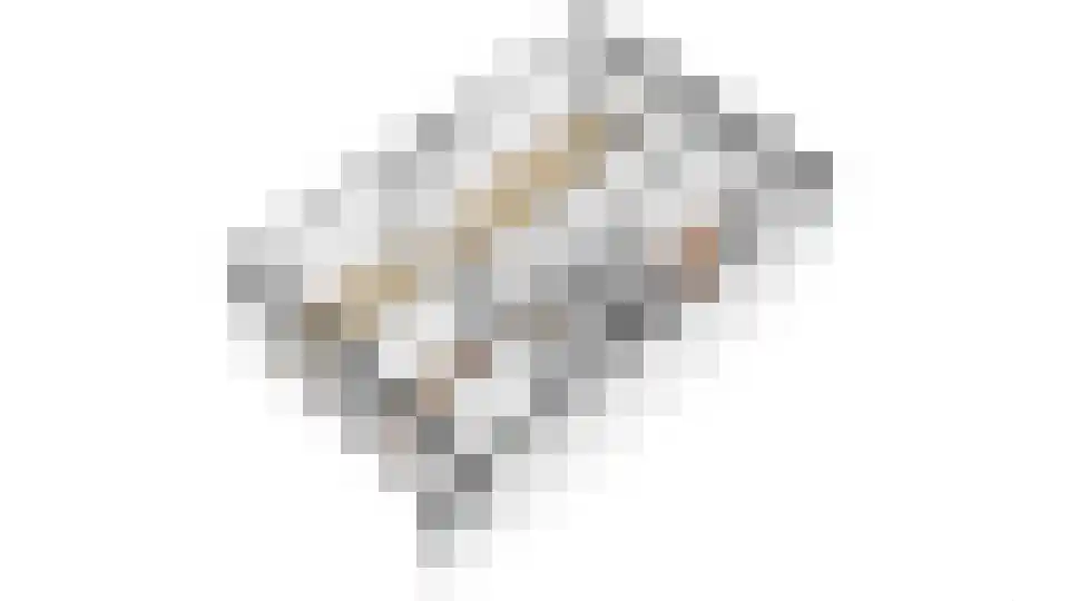 Bataviastraat 69 Utrecht thumbnail 42