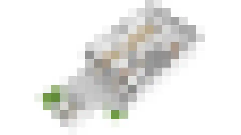 Bataviastraat 69 Utrecht thumbnail 46