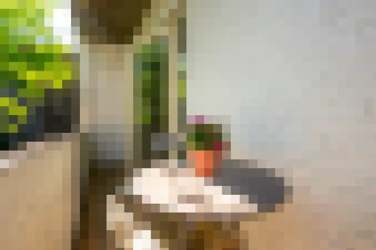 Bataviastraat 71 Utrecht thumbnail 15