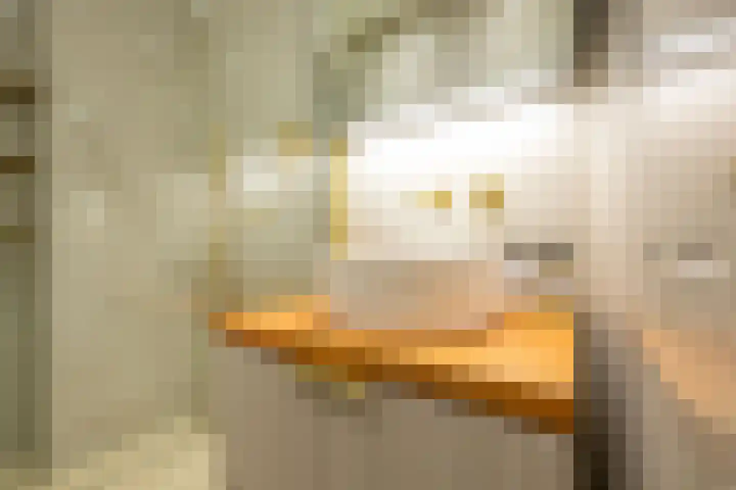 Bataviastraat 71 Utrecht thumbnail 29