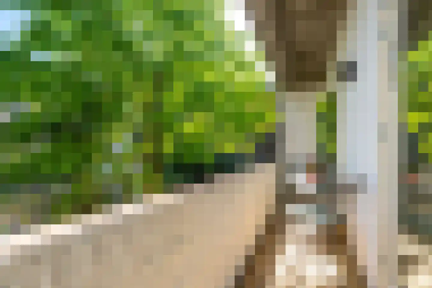 Bataviastraat 71 Utrecht thumbnail 4