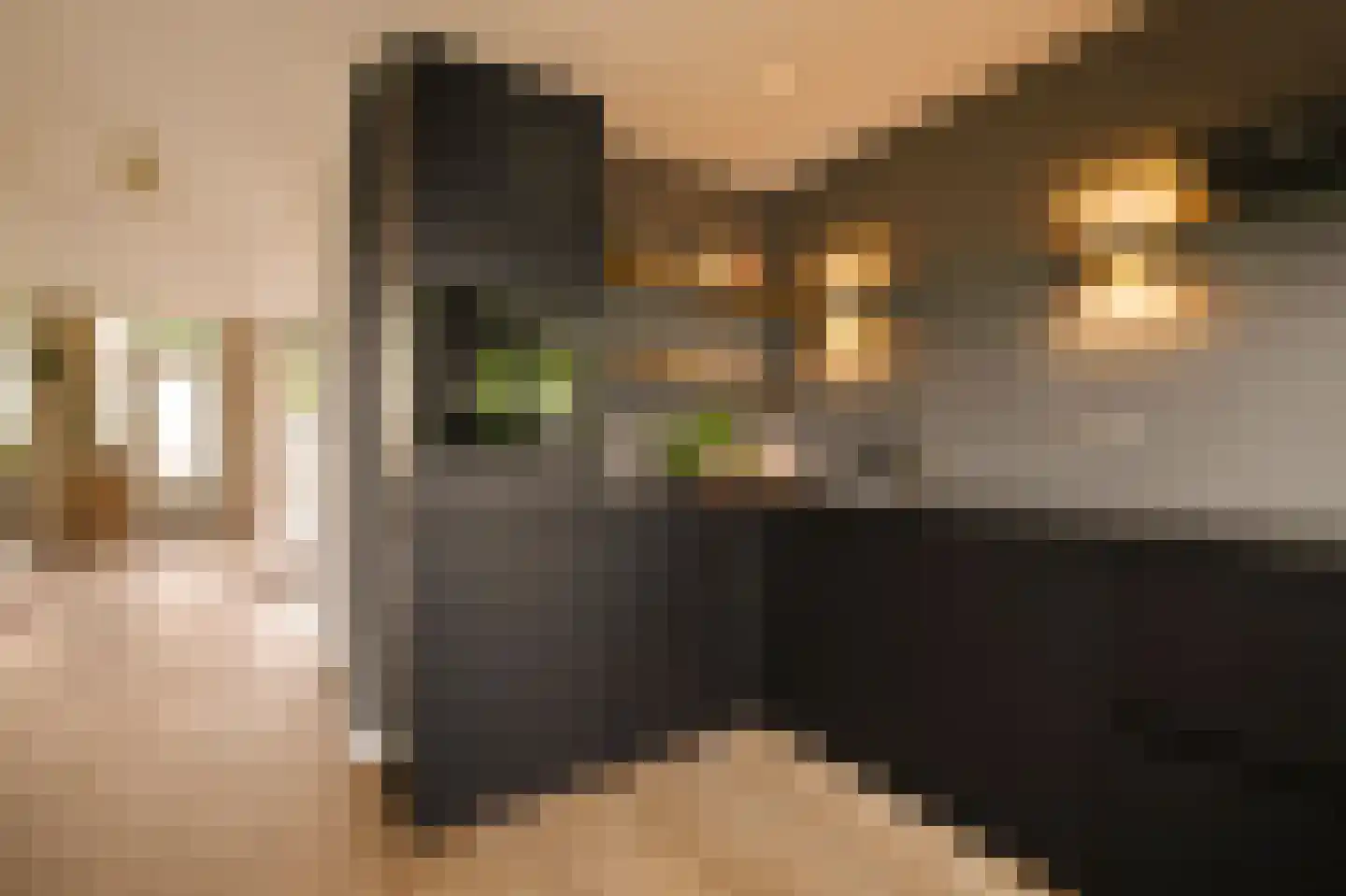Bataviastraat 73 D Amsterdam thumbnail 10