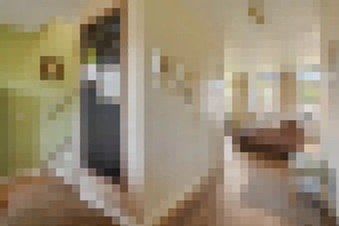 Bataviastraat 73 D Amsterdam thumbnail 11