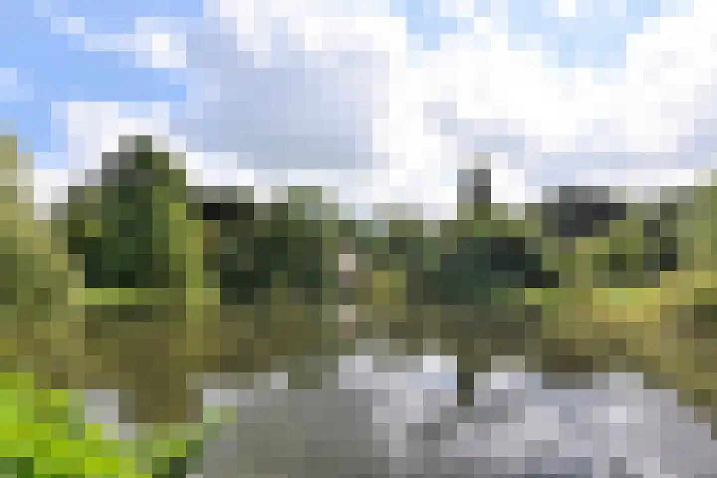 Bataviastraat 73 D Amsterdam thumbnail 41